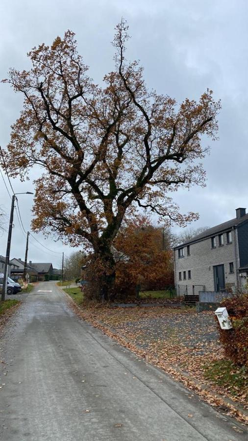Le Gite Du Vieux Chene Bertogne エクステリア 写真